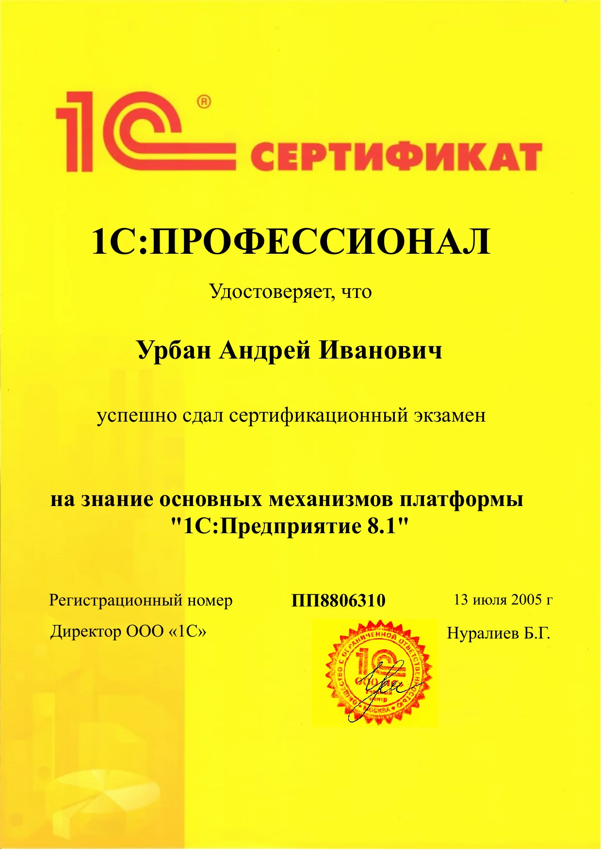 1С Профессионал. Платформа 1С Предприятие 8.1